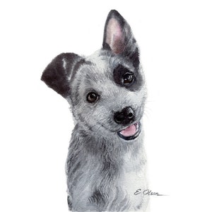 Australian Blue Heeler Puppy Prints Dog Nursery Fine Art Print