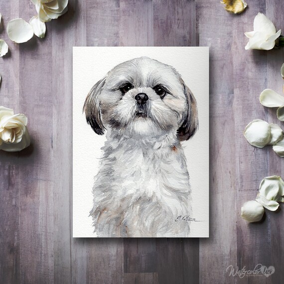 Shih tzu hotsell watercolor painting