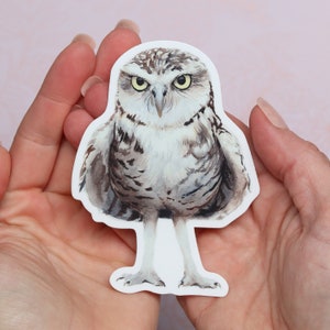 Cute Sassy Owl Watercolor Vinyl Sticker - For Water Bottles & Laptops, Funny Owl Sticker, Little Owl Vinyl sticker, Adorable Owl Sticker