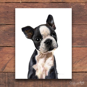 Watercolor puppy, Boston Terrier puppy prints, Boston Terrier fine art prints, High quality art print, Dog kids room decor, Nursery wall art image 7