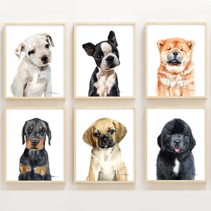 Watercolor puppy, Boston Terrier puppy prints, Boston Terrier fine art prints, High quality art print, Dog kids room decor, Nursery wall art image 8