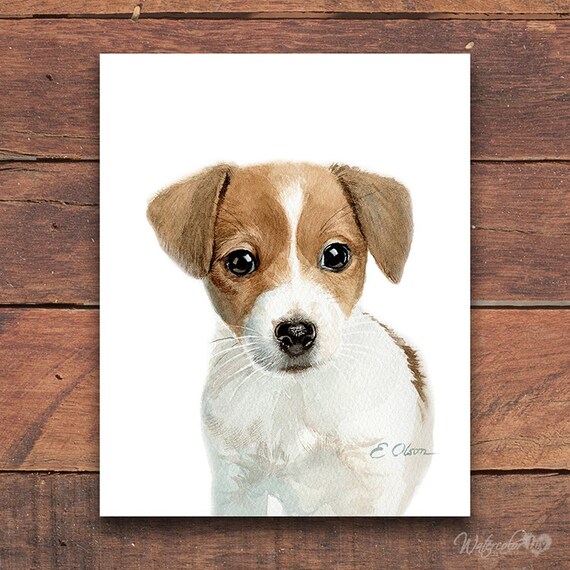Watercolor Puppy Jack Russell Terrier Puppy Prints Jack Etsy