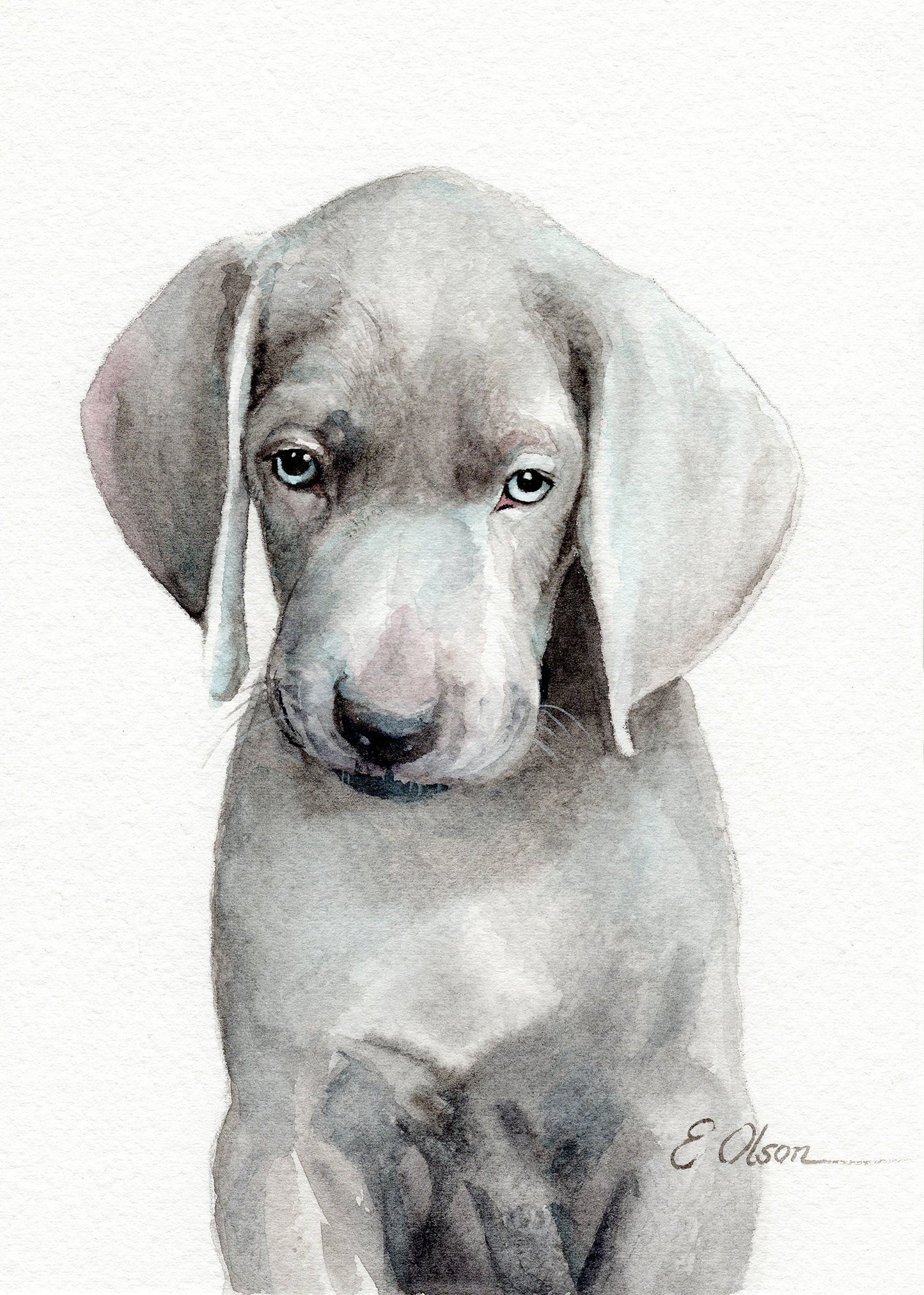 ORIGINAL Watercolor Weimaraner Painting Weimaraner Puppy - Etsy Sweden ORIGINAL Watercolor Weimaraner Painting Weimaraner Puppy - Etsy Sweden