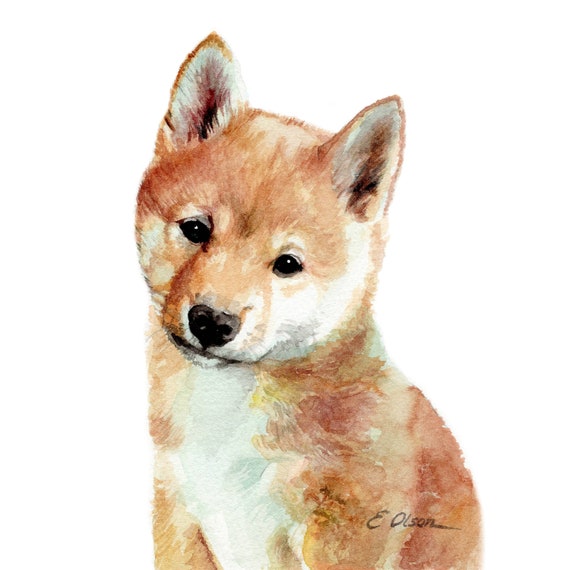 Watercolor Puppy Shiba Inu Dog Prints Puppy Wall Art Prints Printable Dog Art Baby Animal Prints Nursery Wall Art Shiba Inu Painting
