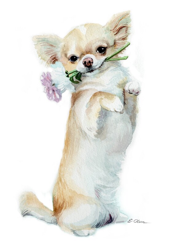 Chihuahua With Flowers Chihuahua Puppy Prints PRINTABLE Kids