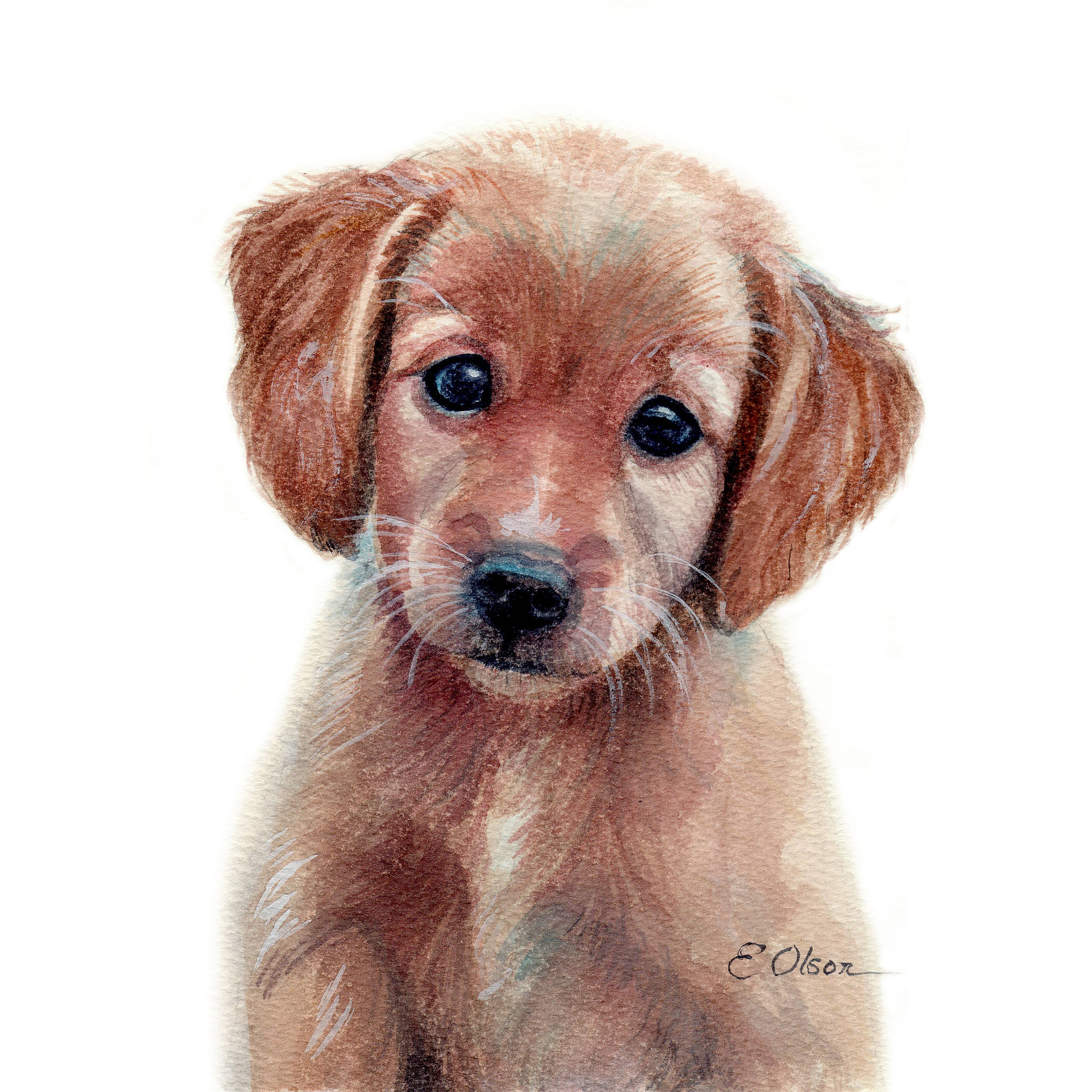 mix /& match Watercolor kids room art Puppy animal art Puppy watercolors Puppy Nursery animal prints Puppy wall decor Set of 4 prints
