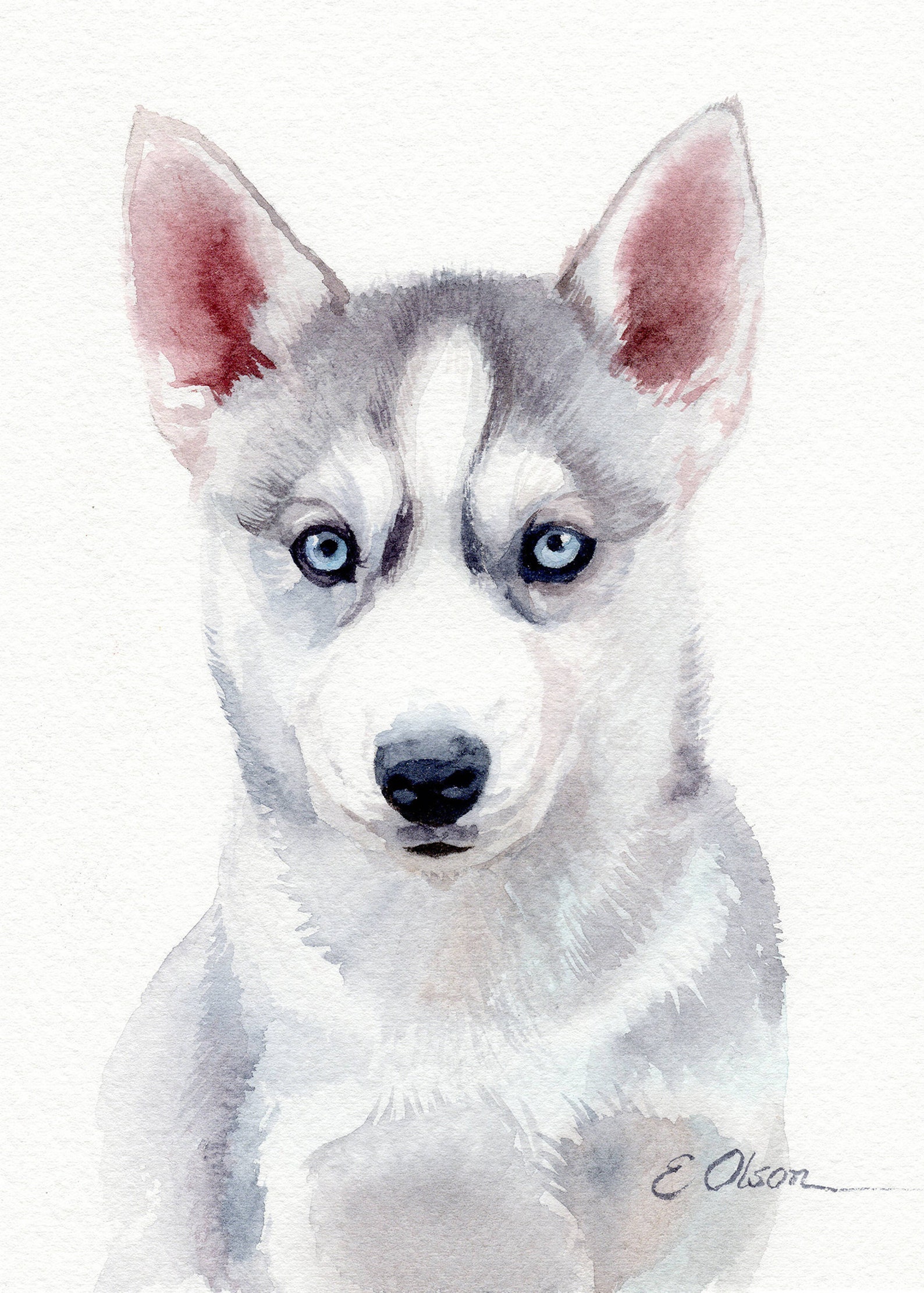 ORIGINAL Watercolor Husky painting Husky Puppy painting Dog Etsy