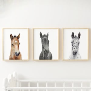 Horse Kids room prints, Set of 3 prints, Watercolor nursery art, Horse girl wall decor, Foal prints, Friesian Appaloosa Arabian baby horses