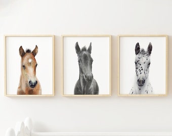 Horse Kids room prints, Set of 3 prints, Watercolor nursery art, Horse girl wall decor, Foal prints, Friesian Appaloosa Arabian baby horses