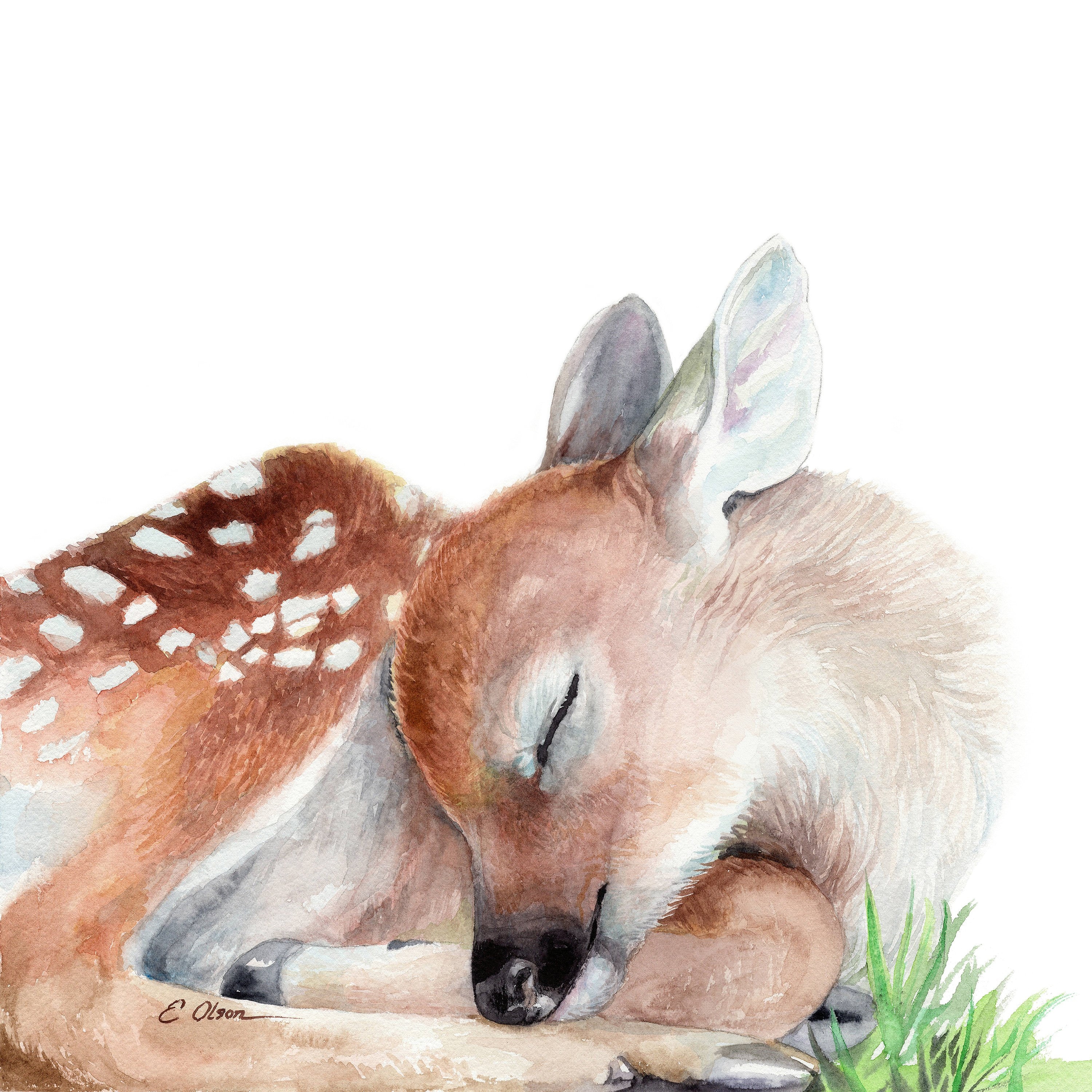 Watercolor Baby Deer