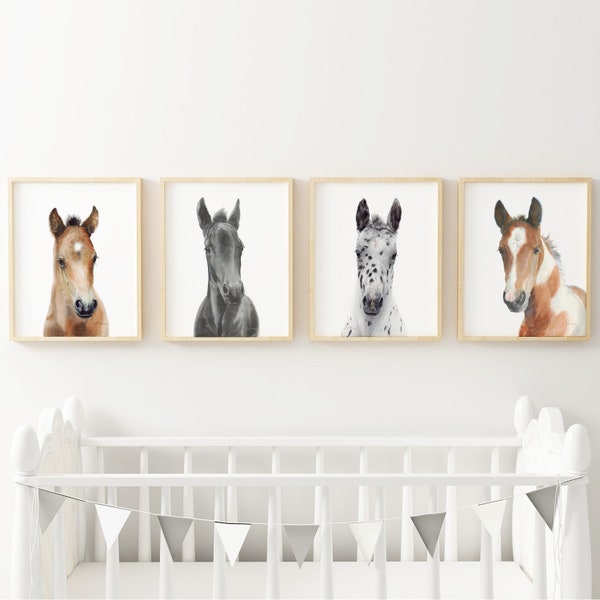 4 Baby Horse Foal Prints, Watercolor Nursery wall decor, Farm animals, Nursery art, Appaloosa, Pinto, Arabian, Friesian print, Set of 4