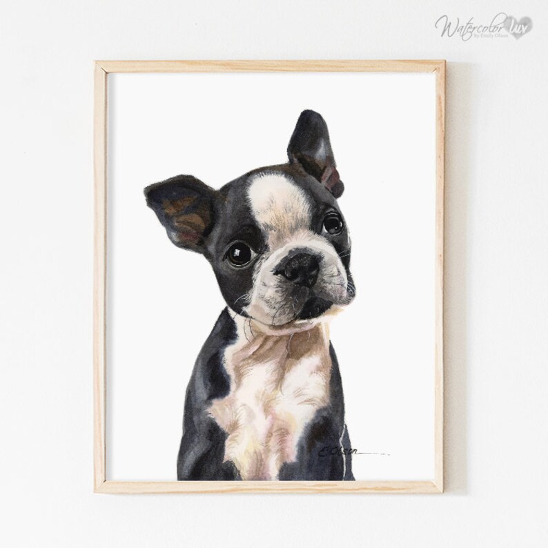 Watercolor puppy, Boston Terrier puppy prints, Boston Terrier fine art prints, High quality art print, Dog kids room decor, Nursery wall art image 1