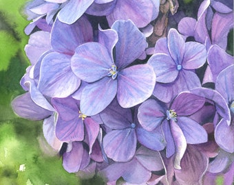 Original Watercolor, Purple Hydrangea, Hydrangea painting, watercolor flowers, watercolor floral painting, original Botanical watercolor