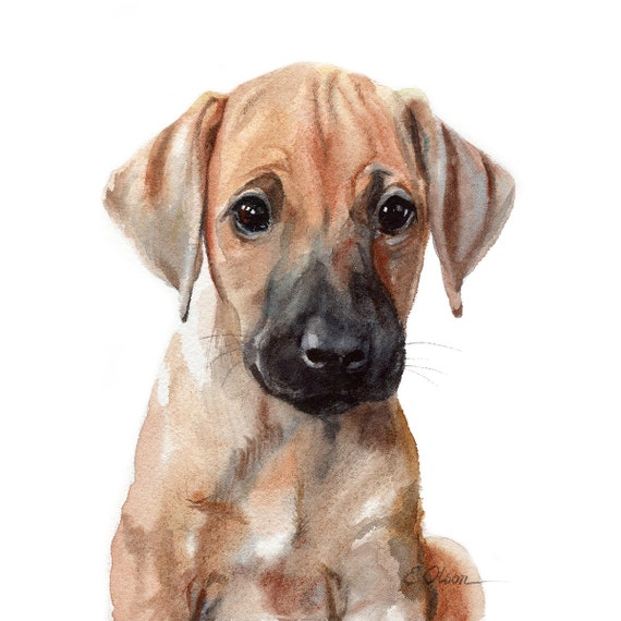 Rhodesian Ridgeback estampados de cachorros impresiones de - Etsy España