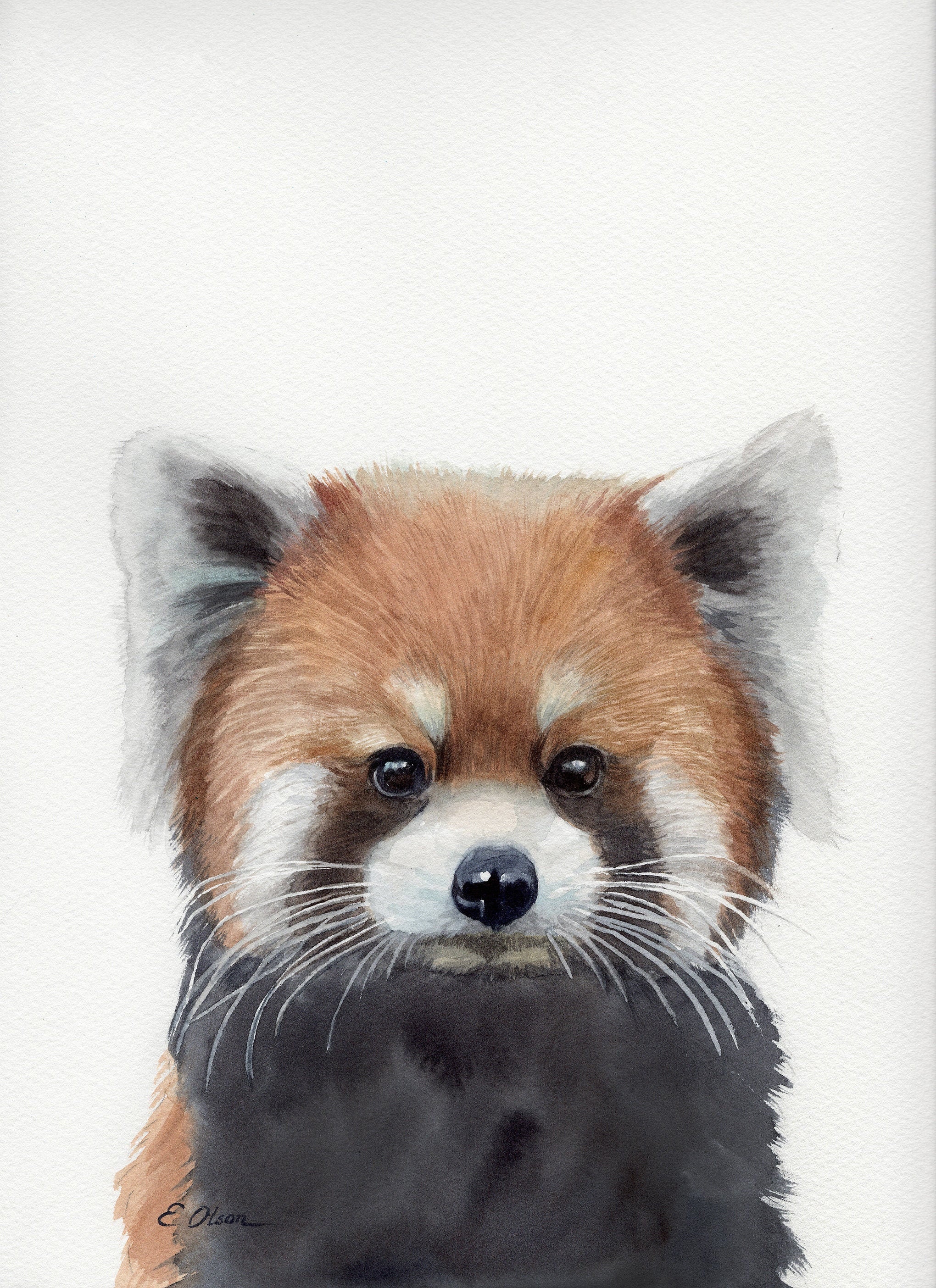 Prints Red Panda Pandas Wildlife Art Prints Set of 4 Instant Download