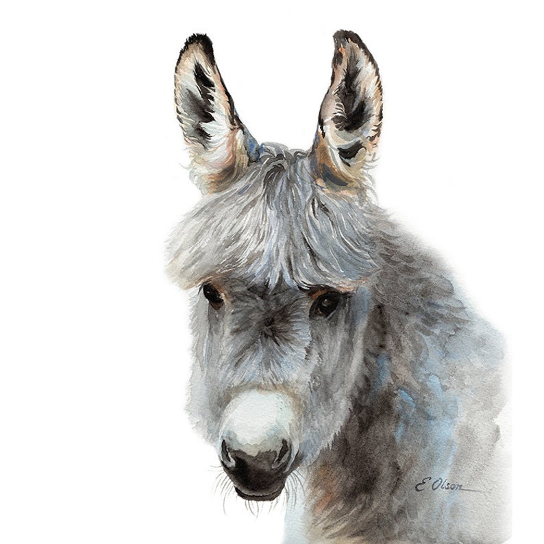 Donkey Art Gift Baby Donkey Art Print Watercolor Donkey Etsy