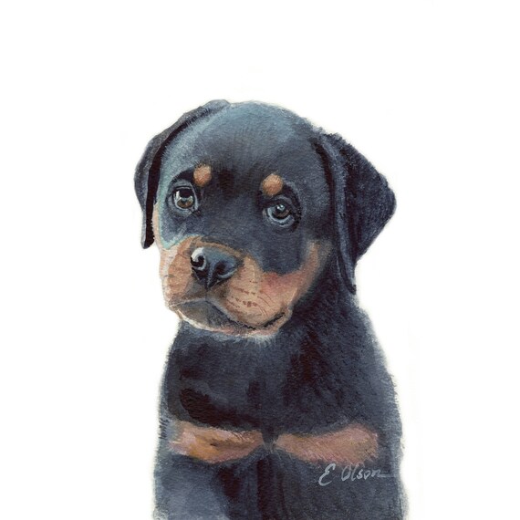 Watercolor Rottweiler Puppy Rottweiler Puppy Prints Etsy