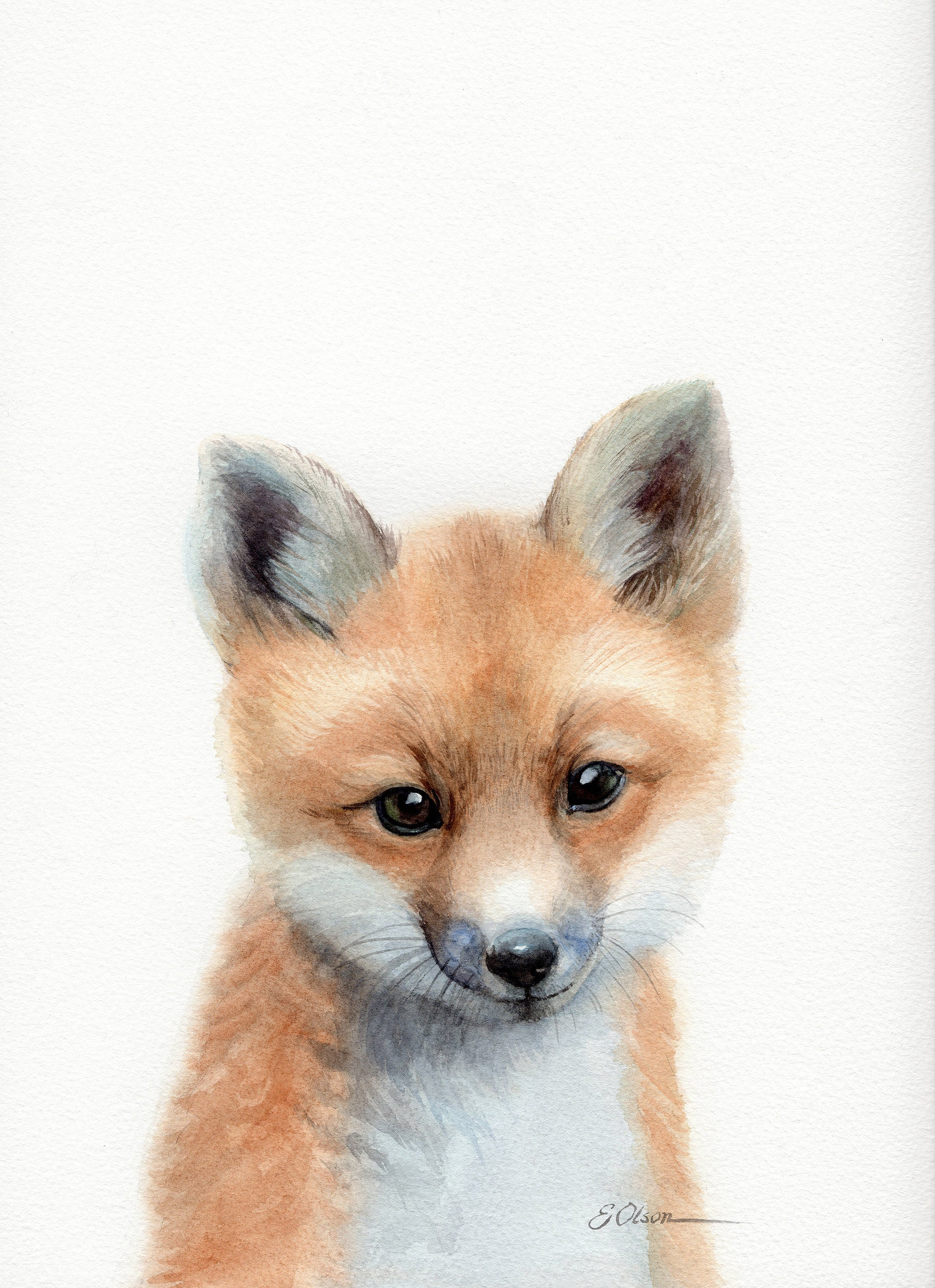 Animal watercolours paintings, framed illustrations for kids, nursery decor, fox, panda, polar bear, lion, animal illustration, newborn gift - .br Animal watercolours paintings, framed illustrations for kids, nursery decor, fox, panda, polar bear, lion, animal illustration, newborn gift - .br