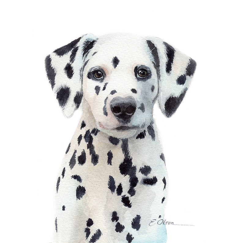 Watercolor Dalmatian puppy Dalmatian art print PRINTABLE | Etsy