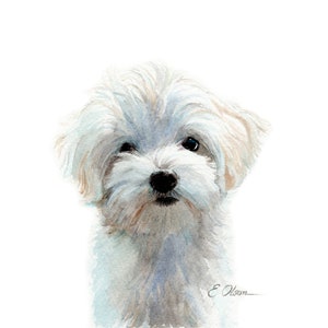 Watercolor Maltese puppy, Maltese puppy prints, High Quality Fine Art Print, Maltese Dog art, Baby animal prints, Nursery puppy wall decor