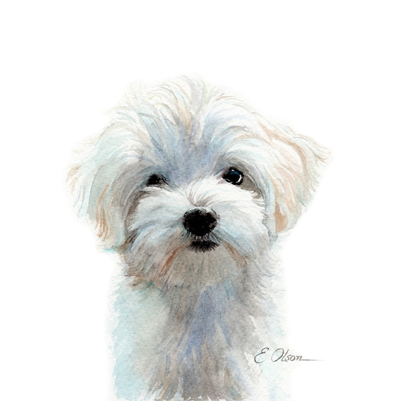Bichon Puppy Umbrella - Watercolor Bichon Puppy Umbrella - Watercolor