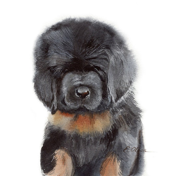 tibetan mastiff art