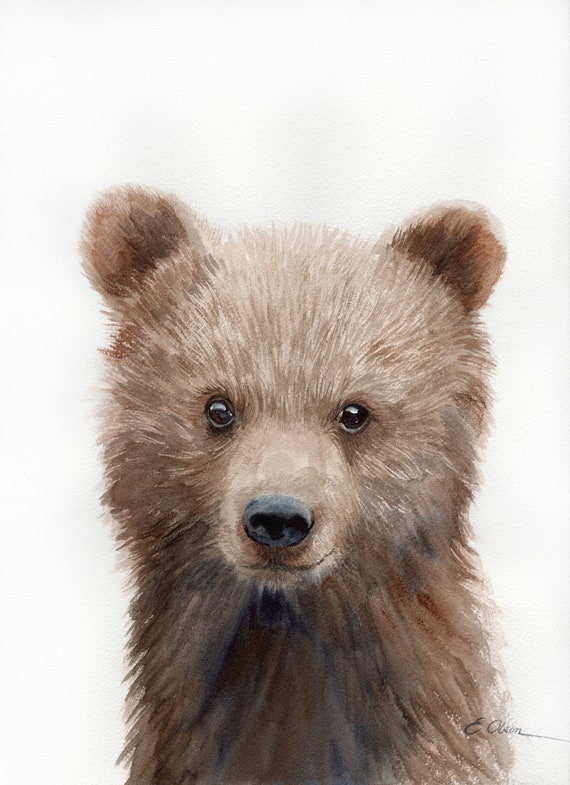 cute baby brown bears