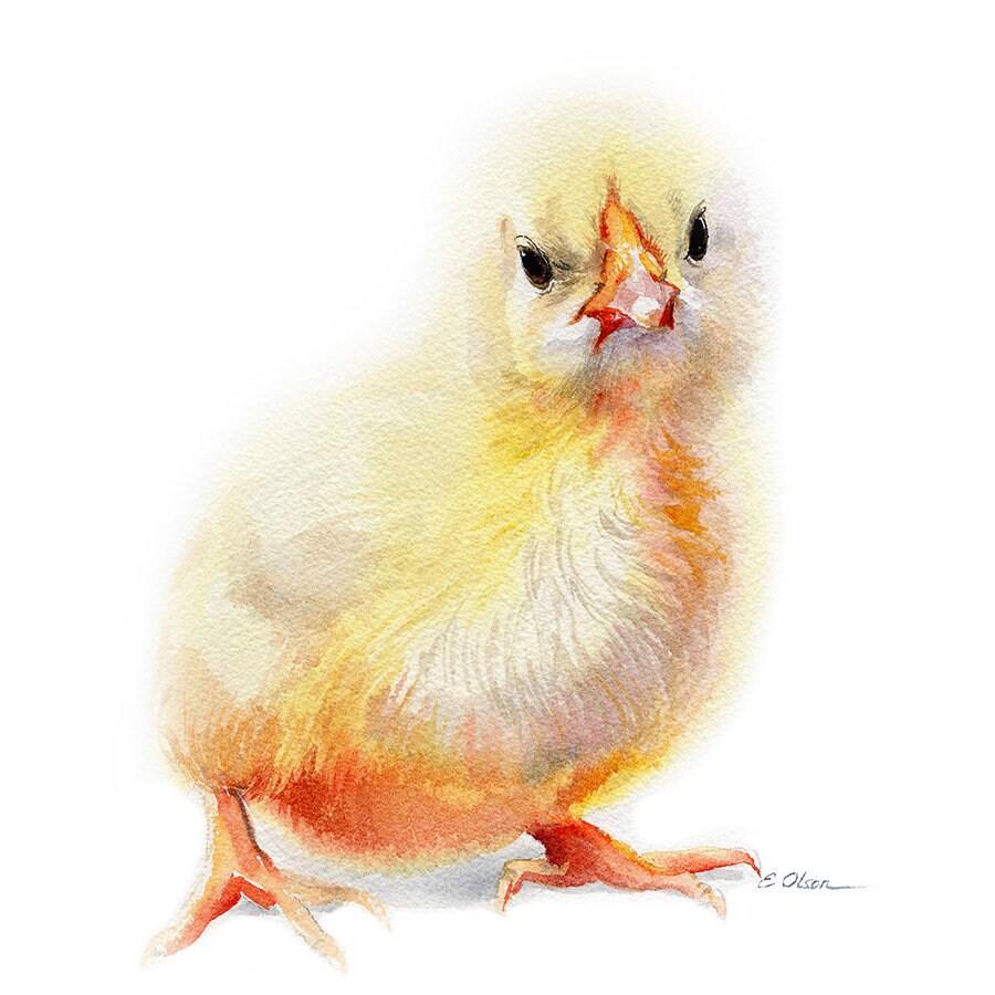 Watercolor Farm Animal Prints Set of 4 High Quality Prints | Etsy