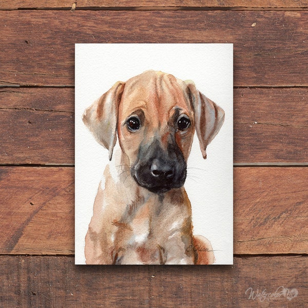 ORIGINAL Watercolor Rhodesian Ridgeback dog painting, Puppy painting, Watercolor pet portraits, Dog lover wall art, Nursery wall art