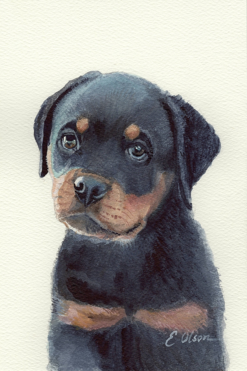 ORIGINAL watercolor painting, Watercolor Rottweiler Puppy, Watercolor wall art, Dog lover art gift, Rottweiler painting, Rottweiler wall art image 1