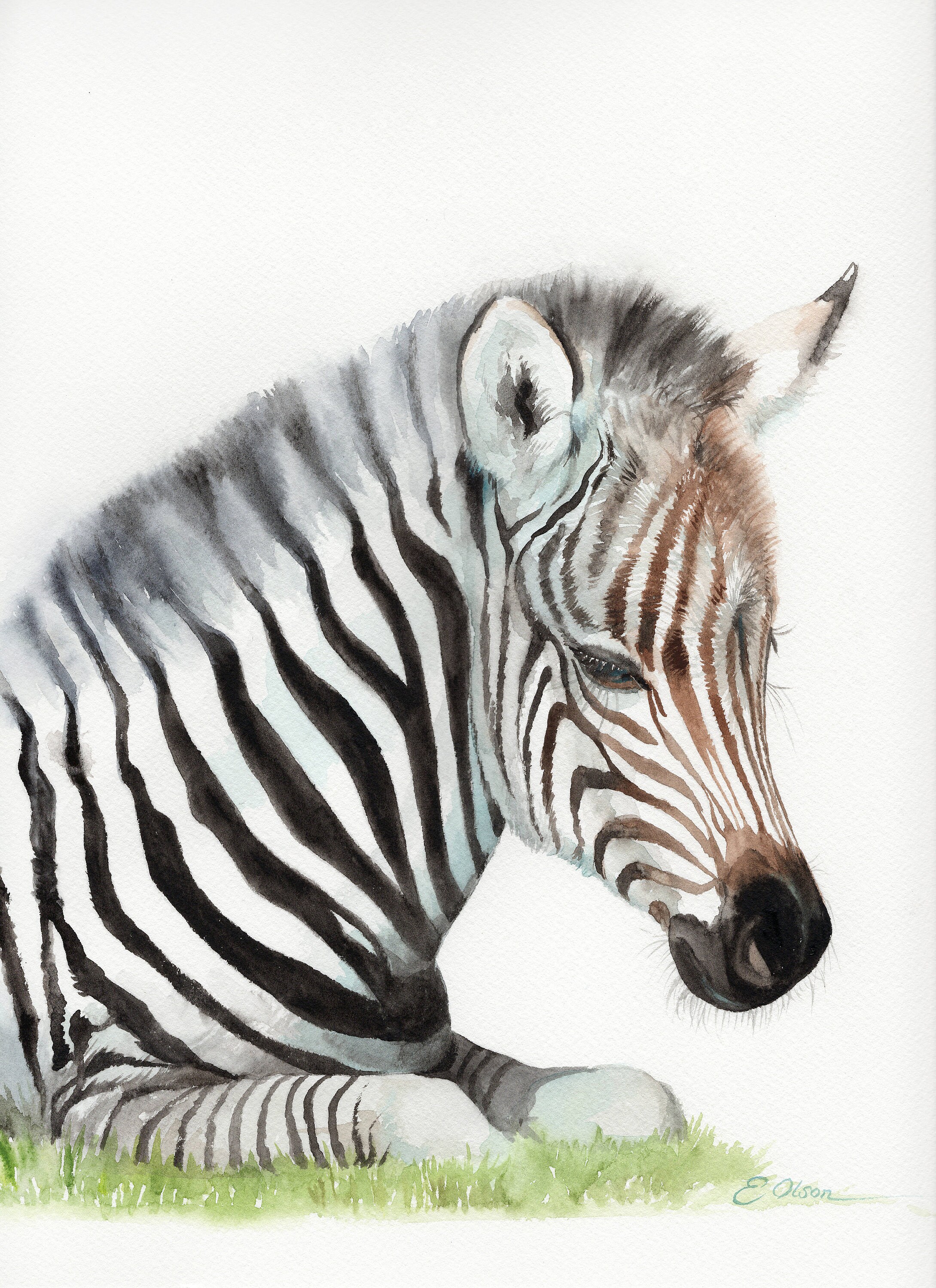 ORIGINAL Watercolor Zebra Painting Zebra wall art Nursery Etsy