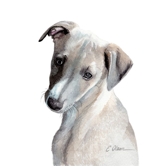 Watercolor Puppy Whippet Dog Prints Puppy Wall Art Prints Etsy