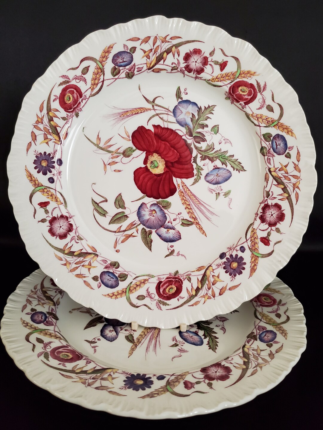 Set of 2/wedgwood/etruriabarlaston/cornflower/plates/dinner Plates