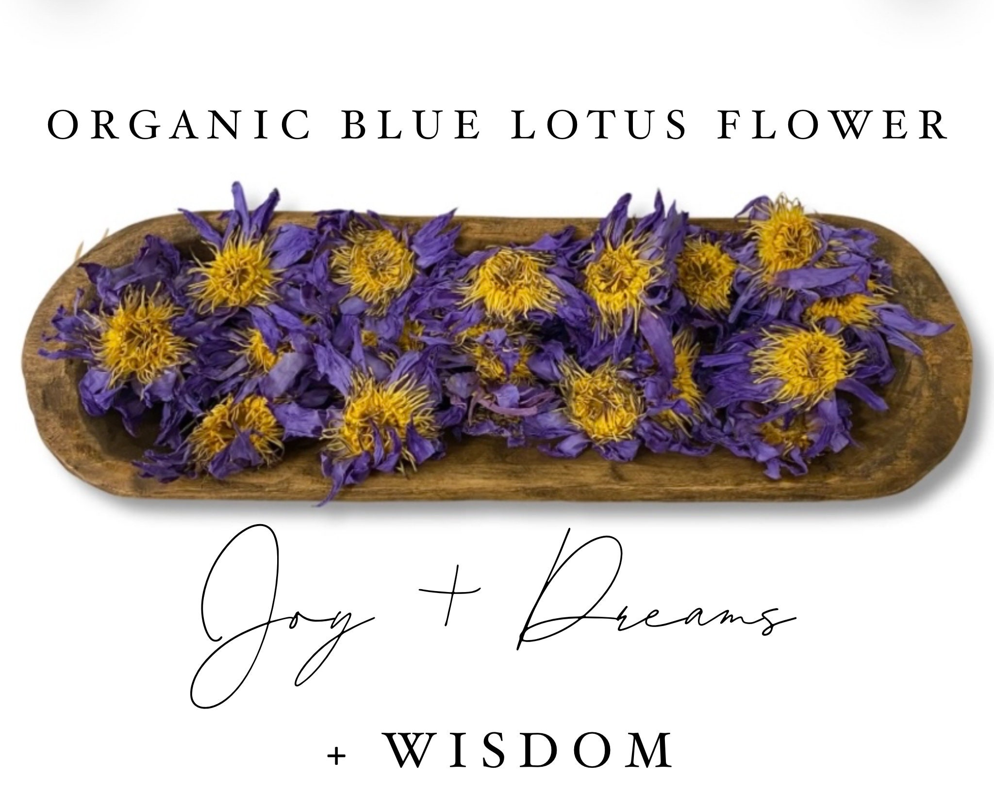 Organic Blue Lotus Flower Organic Royal Sri Lanka (nymphaea