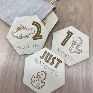 Cartes d'étape mensuelles pour bébé | Décoration de chambre de dinosaure | Accessoire photo bébé | Panneaux bébé en bois | Marqueurs d'étape | Cadeau bébé