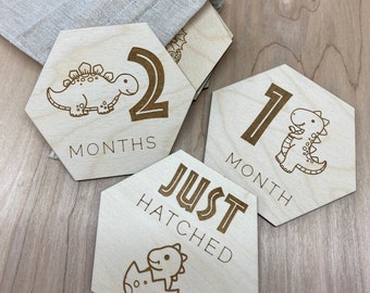 Baby Monthly Milestone Cards | Dinosaur Nursery Decor | Baby Photo Prop | Wood Baby Signs | Milestone Markers | Baby Gift