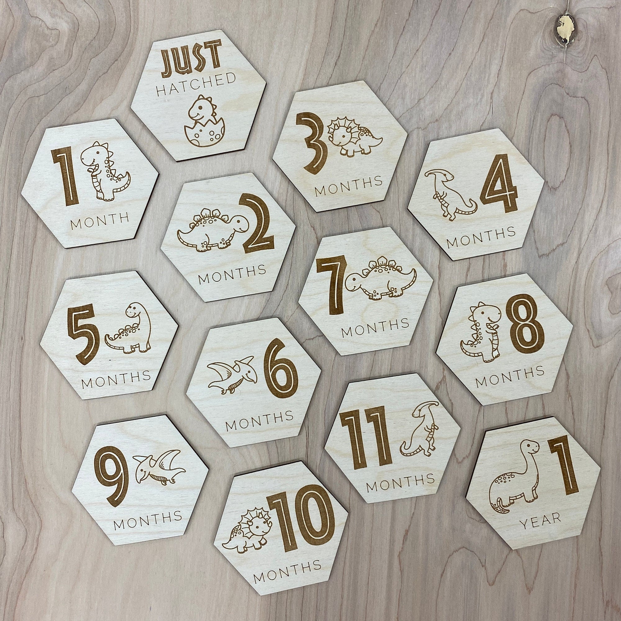Baby Monthly Milestone Cards | Dinosaur Nursery Decor | Baby Photo Prop ...