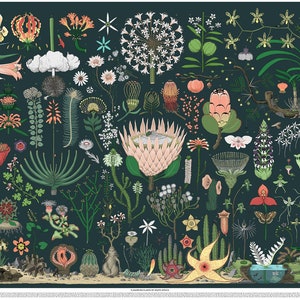 A0 Fine Art-print: bloeiende planten van Zuid-Afrika