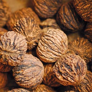May include: Close-up of a pile of brown walnuts with textured, ridged shells. The nuts are various sizes and shapes, with a natural, earthy appearance. The image highlights the details of the walnut shells.