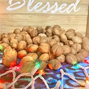 May include: A wooden sign with the word "Blessed" written in white paint. A pile of pecan shells are in front of the sign, with a strand of white Christmas lights with multi-colored bulbs wrapped around them.