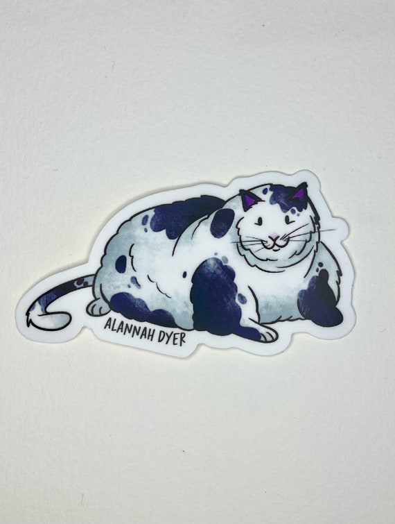 Black and White Cat Sticker | Cute Funny Cartoon Animal Silly stickers | 3  Water Bottle | Laptop | College | Teen | Kids| Fat Cat| Chubby