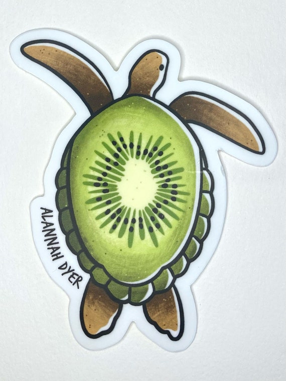 Kiwi Turtle Sticker | Cute Funny Cartoon Animal Silly stickers | 3 Water  Bottle | Laptop | College | Teen | Kids