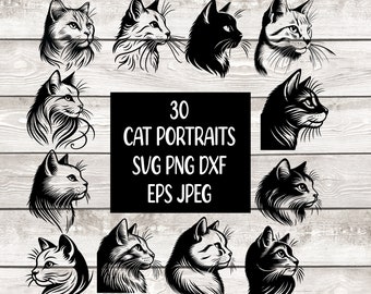 Gatto SVG Gatto PNG Ritratto di gatto Pacchetto Gatto carino Gattino Testa di gatto Ritratto di profilo di gatto Immagine digitale svg png jpeg eps dfx Download istantaneo