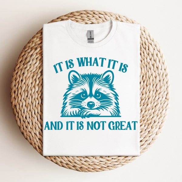 It Is What It Is And It Is Not Great svg png Digital File, Funny Raccoon Meme PNG, Funny Trash Panda Merch, Funny Trash Panda Png