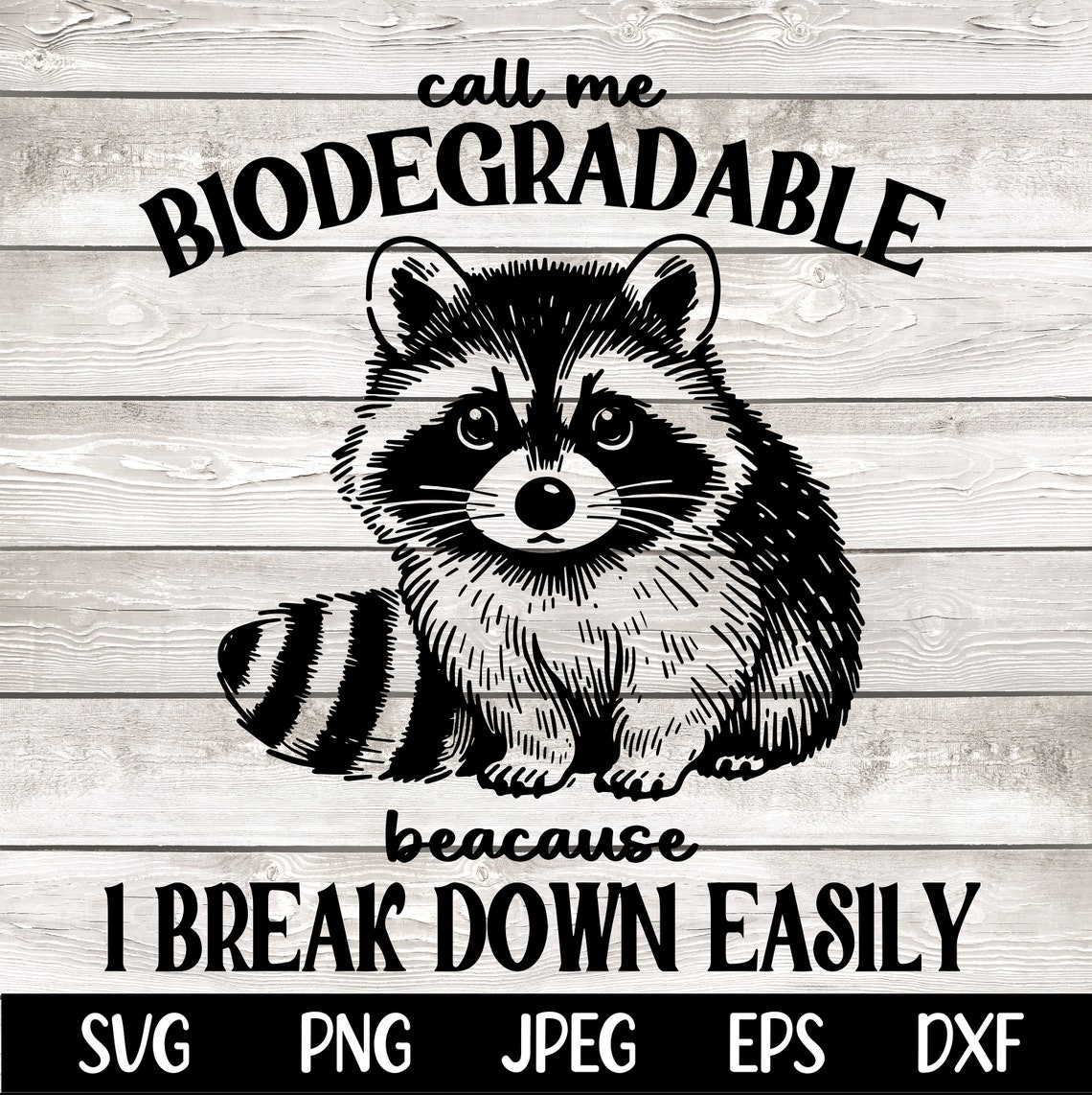 Call Me Biodegradable Svg Png Digital File, Funny Raccoon Meme PNG ...