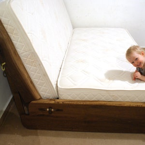 Live Edge Sofa Bed , King, Queen, Any size, Bett, Cama, Fumed Oak