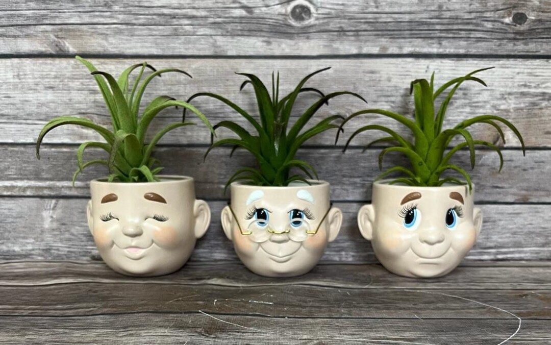 Pot Heads Planters Etsy