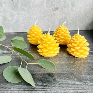 Pinecone Candle Set | Beeswax Candle | Non-toxic & Eco-Friendly