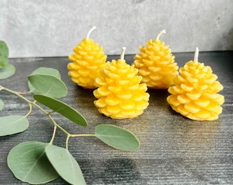 Pinecone Candle Set | Beeswax Candle | Non-toxic & Eco-Friendly