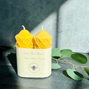 Ancient Windows Beeswax Candle | Pillar Candles | Non-toxic & Eco-Friendly